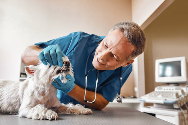 Best Emergency Denture Repair in Fresno, TX