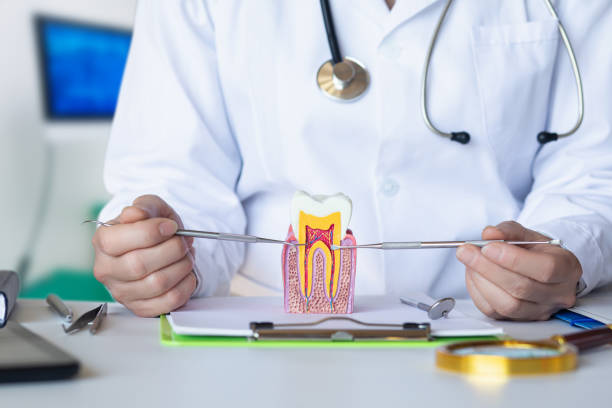 Best Emergency Gum Treatment in Fresno, TX
